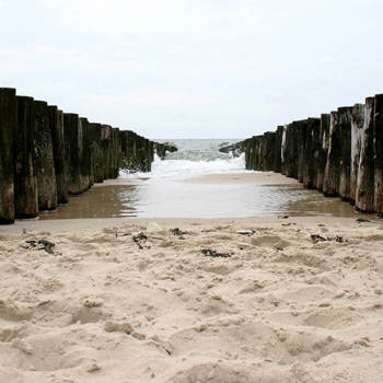 Zoutelande