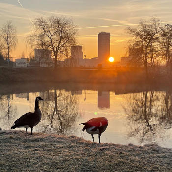 Meerhoven